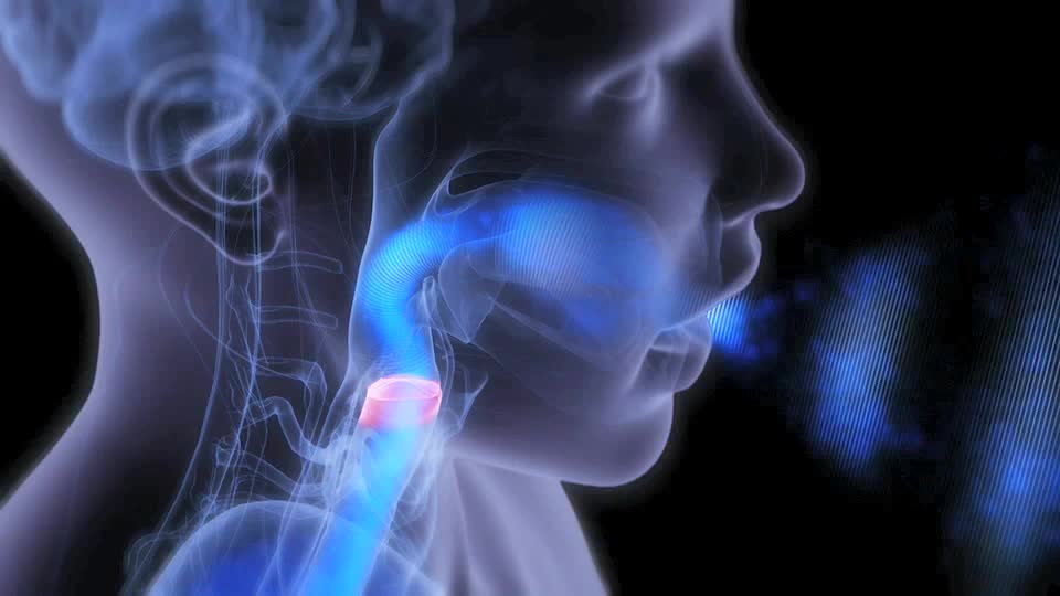 Vocal Health and Hygiene
