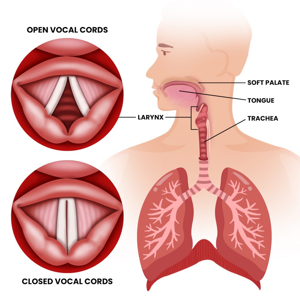 How To Develop A Deeper Singing Voice Without Strain