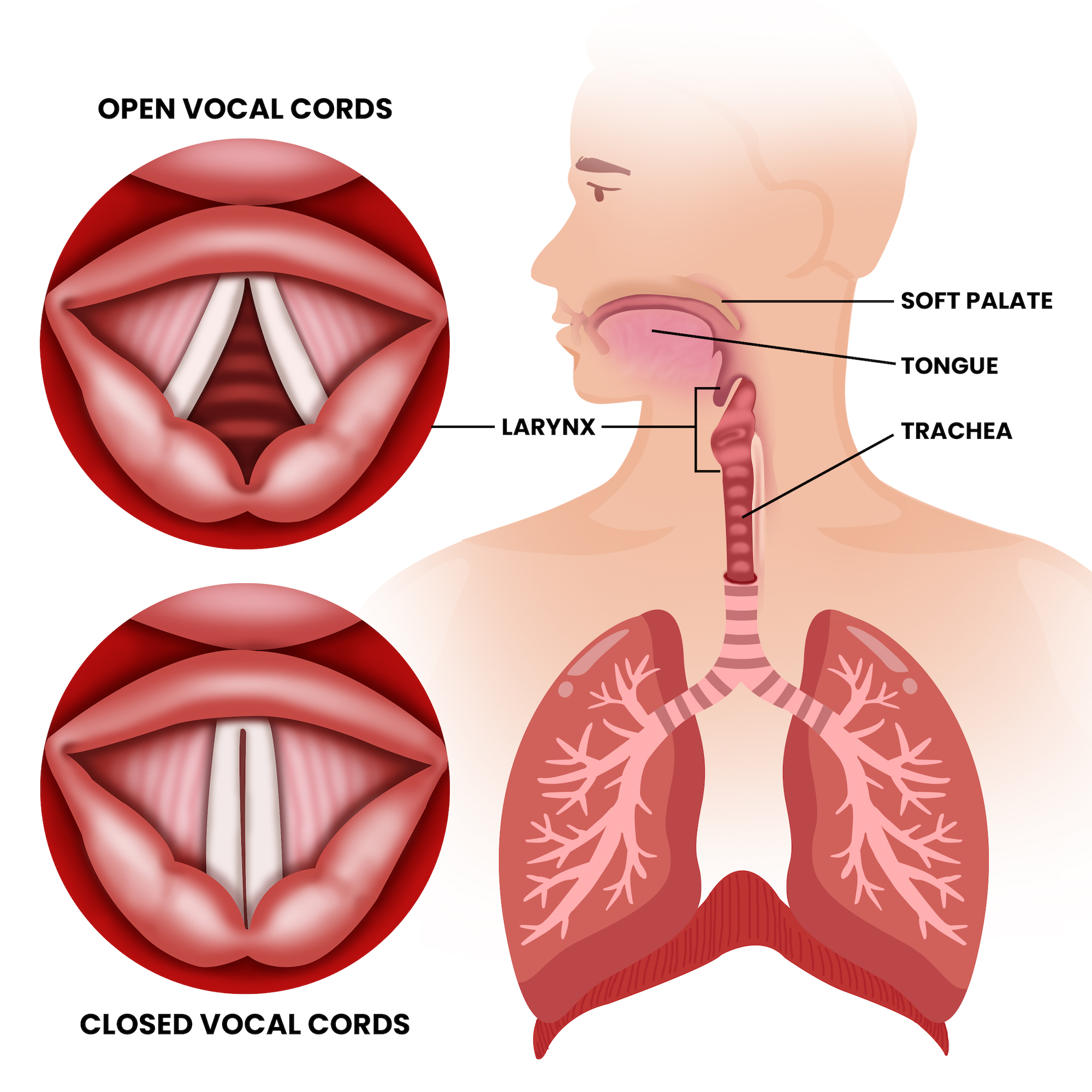 How To Develop A Deeper Singing Voice Without Strain